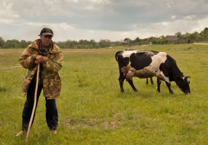 На Харьковщине из-за пожара в экосистеме погиб пастух
