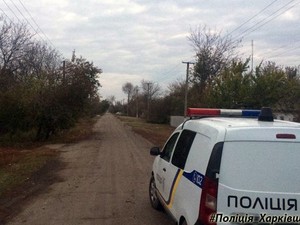 В области под колесами авто погибла школьница