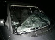 На Харьковщине автомобиль наехал на четырех пешеходов - пострадали дети