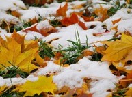 Харьковчан предупреждают о грядущем снегопаде