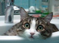 Часть Харькова осталась без воды: полный список отключений