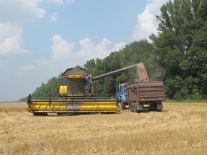 В Харьковской области завершается уборка ранних зерновых