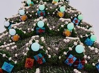 На площади Свободы установили елку (ФОТО)