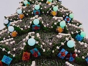 На площади Свободы установили елку (ФОТО)