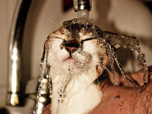Адреса отключений воды на сегодня
