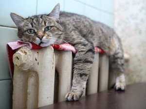 На «ХТС» готовы пустить тепло в дома, школы и больницы
