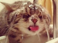 Адреса отключений воды на сегодня, авария на Танкопии