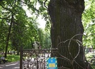 Власти обещают сделать экорееср сада Шевченко за два дня