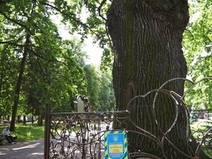 Власти обещают сделать экорееср сада Шевченко за два дня