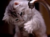 Где сегодня в Харькове не будет воды
