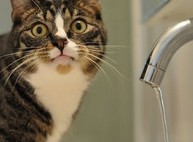 Где сегодня в Харькове не будет воды