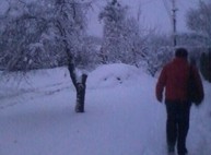 Транспортный коллапс в Харькове: люди не могут добраться на учебу и работу (ФОТО, ВИДЕО)