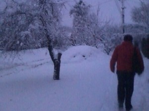 Транспортный коллапс в Харькове: люди не могут добраться на учебу и работу (ФОТО, ВИДЕО)