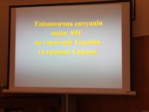 На Харьковщине продолжает свирепствовать африканская чума свиней