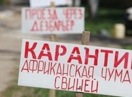 Часть Харькова оказалась в карантине из-за чумы свиней