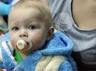 Идёт внедрение программного обеспечения Единого реестра ВПЛ
