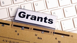 Переселенцы смогут принять участие в грантовых программах
