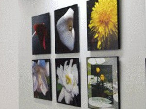 Куда пойти завтра 17 сентября в Харькове