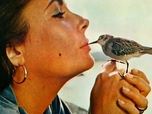 "Чтобы приручить птицу, надо выпустить ее на свободу..." (фото)