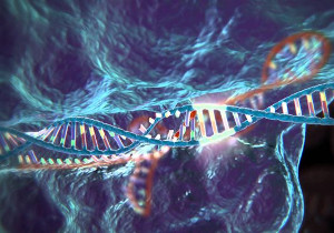 Ученые тренируются на онкобольных — человеку ввели генно-модифицированные клетки