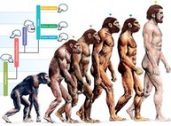 Эволюция человека за две минуты