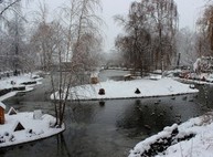 Зоопарк снизил стоимость билетов и проводит конкурс для детей