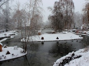 Зоопарк снизил стоимость билетов и проводит конкурс для детей