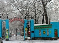Зоопарк приглашает покормить обезьян