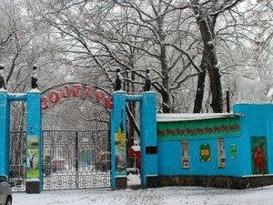 Зоопарк приглашает покормить обезьян