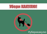 Акция «Убери какулю»
