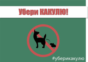 Акция «Убери какулю»