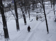 Прогноз погоды на сегодня