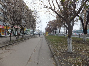 Прогноз погоды на завтра