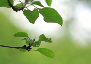 Прогноз погоды на завтра