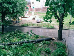 Разгул стихии в Харькове: поваленные деревья и плывущие машины (ФОТО, ВИДЕО)