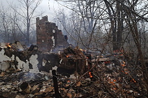 Радикальная уборка на участке: сгорело 2 жилых дома и 7 сараев (ФОТО)