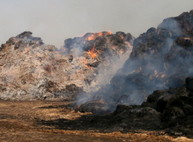 Чудовищный пожар в области — поджог 1000 тонн сена (ФОТО)