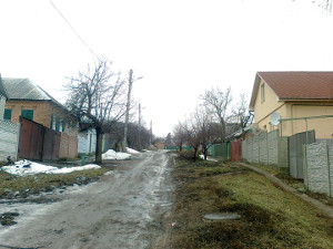 Пожар на Лысой горе тушили 4 автоцистерны