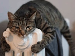 Кернес рассказал, когда сделают перерасчет за тепло