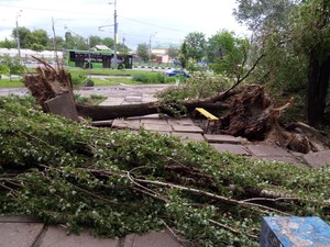 Терехов назвал вчерашний ливень стихийным бедствием
