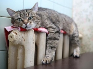 «Самопоміч» требует пересчитать тарифы за отопление (Дополнено)