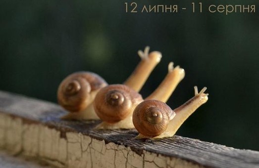 Ко Дню фотографа в Харькове открывается выставка
