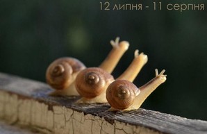 Ко Дню фотографа в Харькове открывается выставка