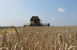 Первый миллион тонн зерна нового урожая намолотили хлеборобы Харьковщины
