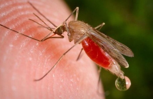 В Харькове зарегистрирован новый случай малярии
