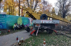 В Харькове продолжают уничтожать деревья (ФОТО)