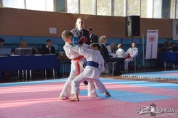 Каратисты Харьковщины посостязались за Кубок области