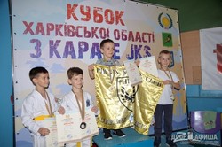 Каратисты Харьковщины посостязались за Кубок области