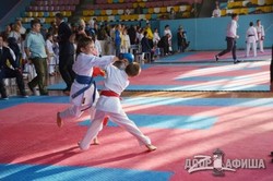 Каратисты Харьковщины посостязались за Кубок области