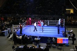 Светличная поздравила спортсменов и болельщиков чемпионата Украины по боксу